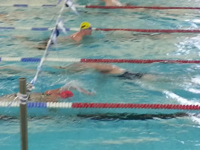 Chris Took at Swimathon 2015 (Yellow Cap, obviously)