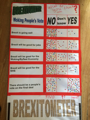 Woking People's vote Brexitometer