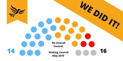 Woking Council May 2019