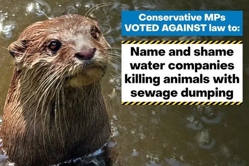 Otter sewer