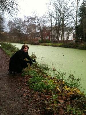 Ann marie - green gunge