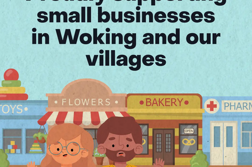 Woking Small Business Sat