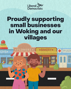 Woking Small Business Sat